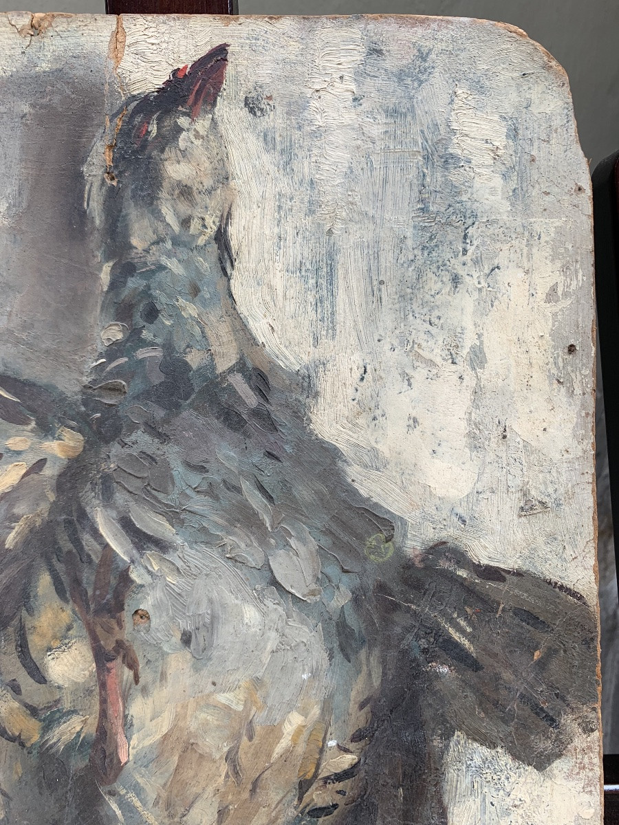 Still Life Sketch Of Freshly Plucked Game Hanging Oil On Cardboard, 23 X 38 Cm -photo-4