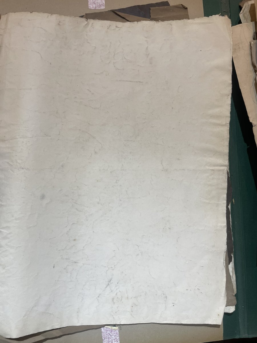 Étude académique d’une tête de cheval, 59 × 43 cm Milieu du XIXᵉ siècle -photo-2