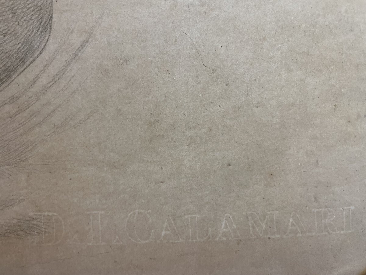 Étude académique d’une tête de cheval, 59 × 43 cm Milieu du XIXᵉ siècle -photo-1