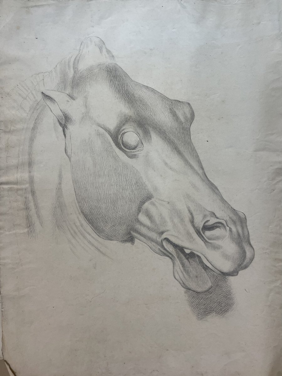 Étude académique d’une tête de cheval, 59 × 43 cm Milieu du XIXᵉ siècle -photo-3