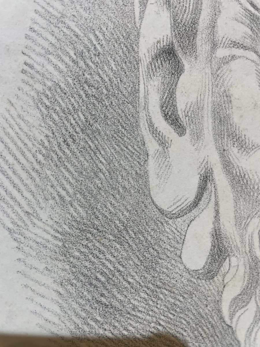 Satyr Mask, Academic Study After An Antique Model And Michelangelo’s Lost Work, 49 × 32.5 Cm-photo-2