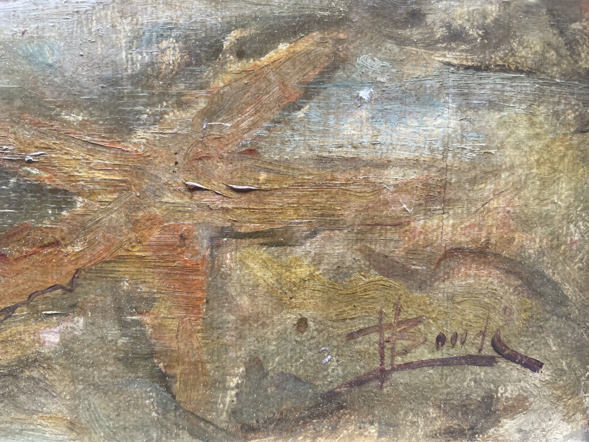 Plongeur avec mérou sous la coque – milieu du XXe siècle-photo-1