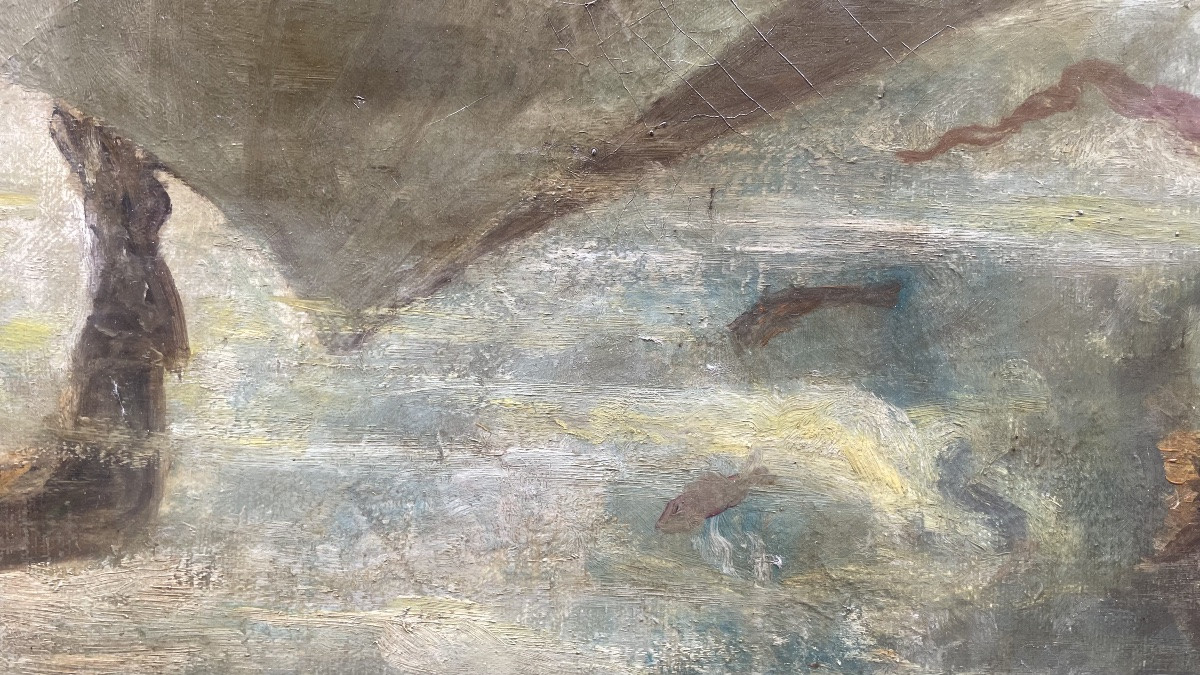 Plongeur avec mérou sous la coque – milieu du XXe siècle-photo-4