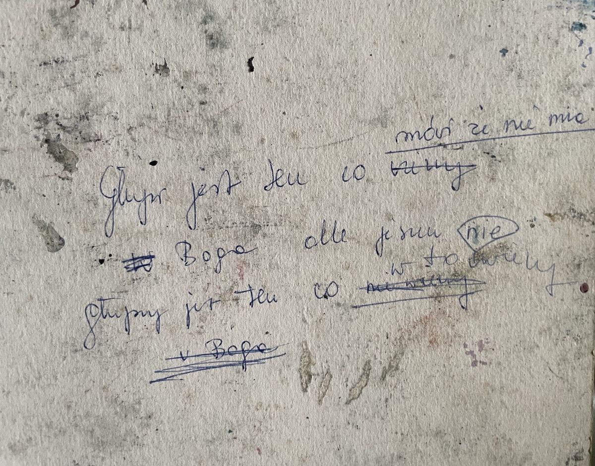 Ewa Adamowicz, Métamorphose de centaure dans un paysage fossile, Pologne, 1989  -photo-3