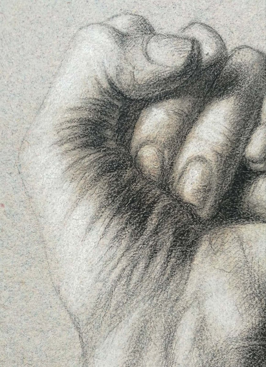 Academic Study Of A Clenched Hand, Tuscany, Mid-19th Century-photo-3