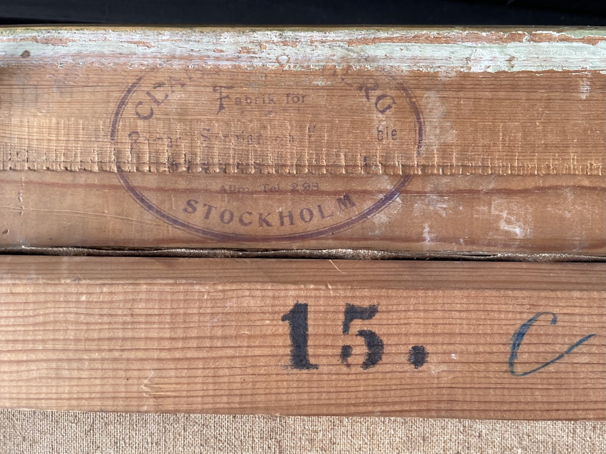 Portrait de l’épouse de l’explorateur arctique suédois Palander, 1901-photo-3