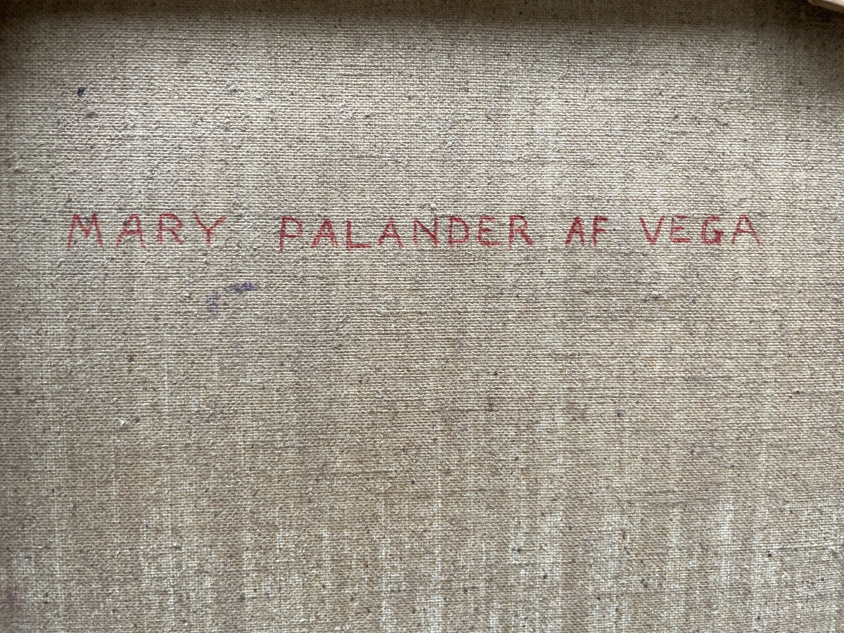 Portrait de l’épouse de l’explorateur arctique suédois Palander, 1901-photo-4