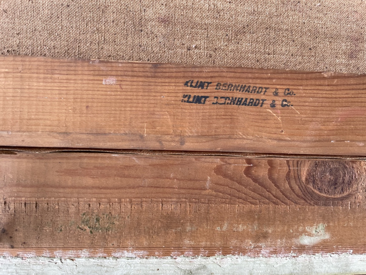 Portrait de l’épouse de l’explorateur arctique suédois Palander, 1901-photo-4