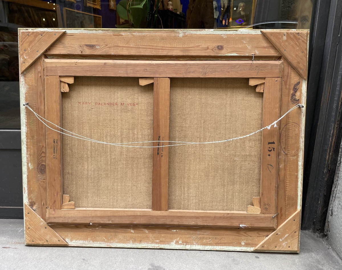 Portrait de l’épouse de l’explorateur arctique suédois Palander, 1901-photo-6