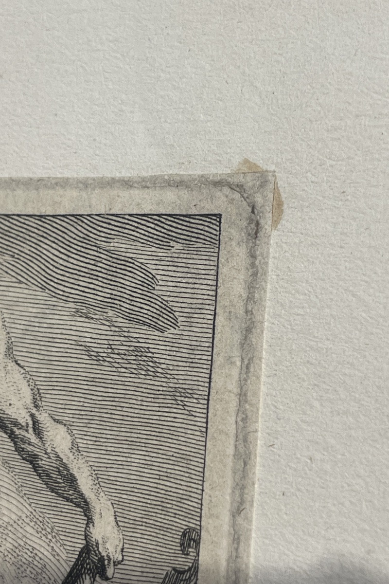 Armoiries royales du Danemark, Ordre de l’Éléphant, gravure XVIIe siècle  -photo-5