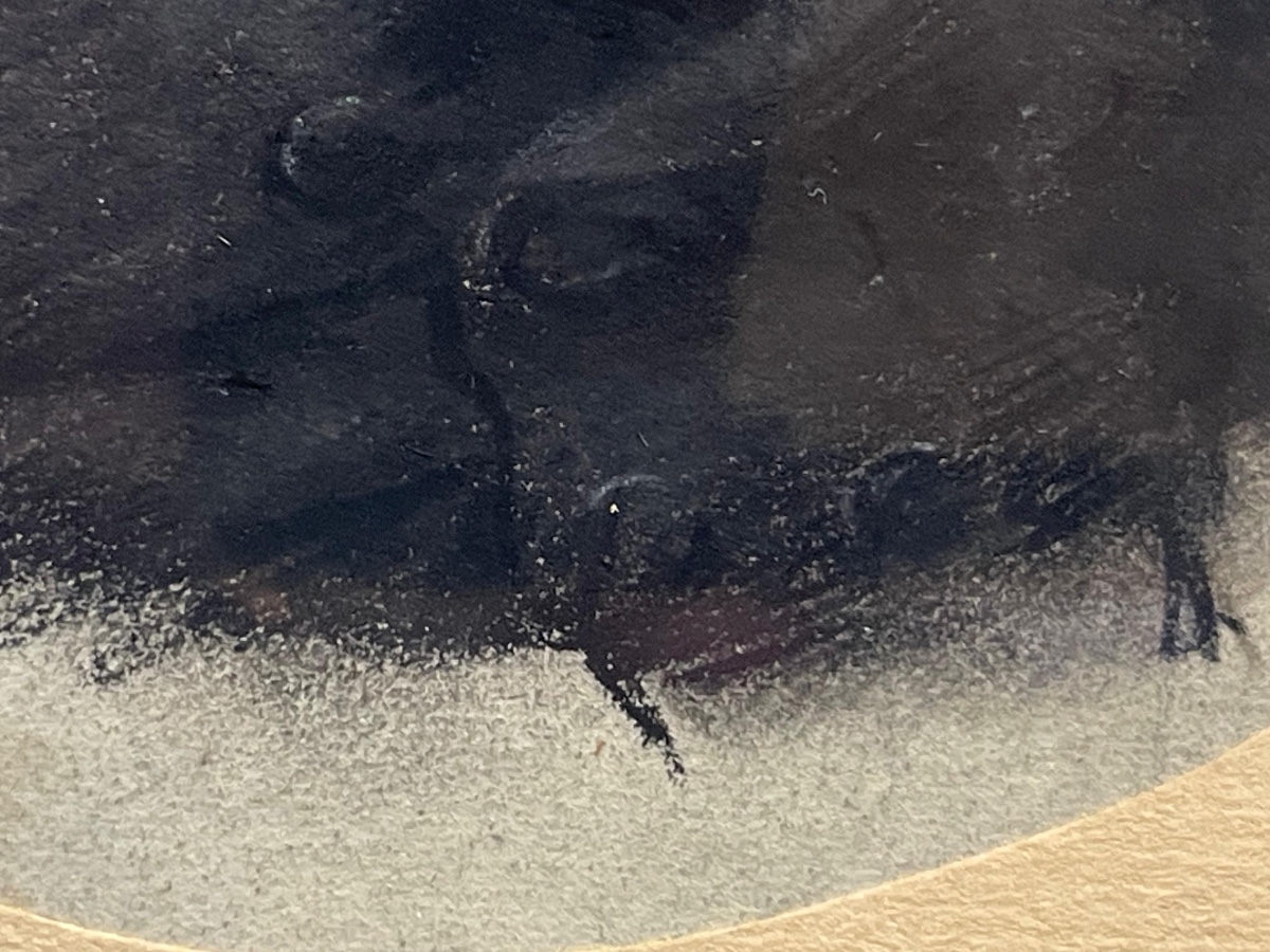 Portrait Of A Young Man, Pastel On Paper, Signed And Dated E. Bouchardy, 1819-photo-1