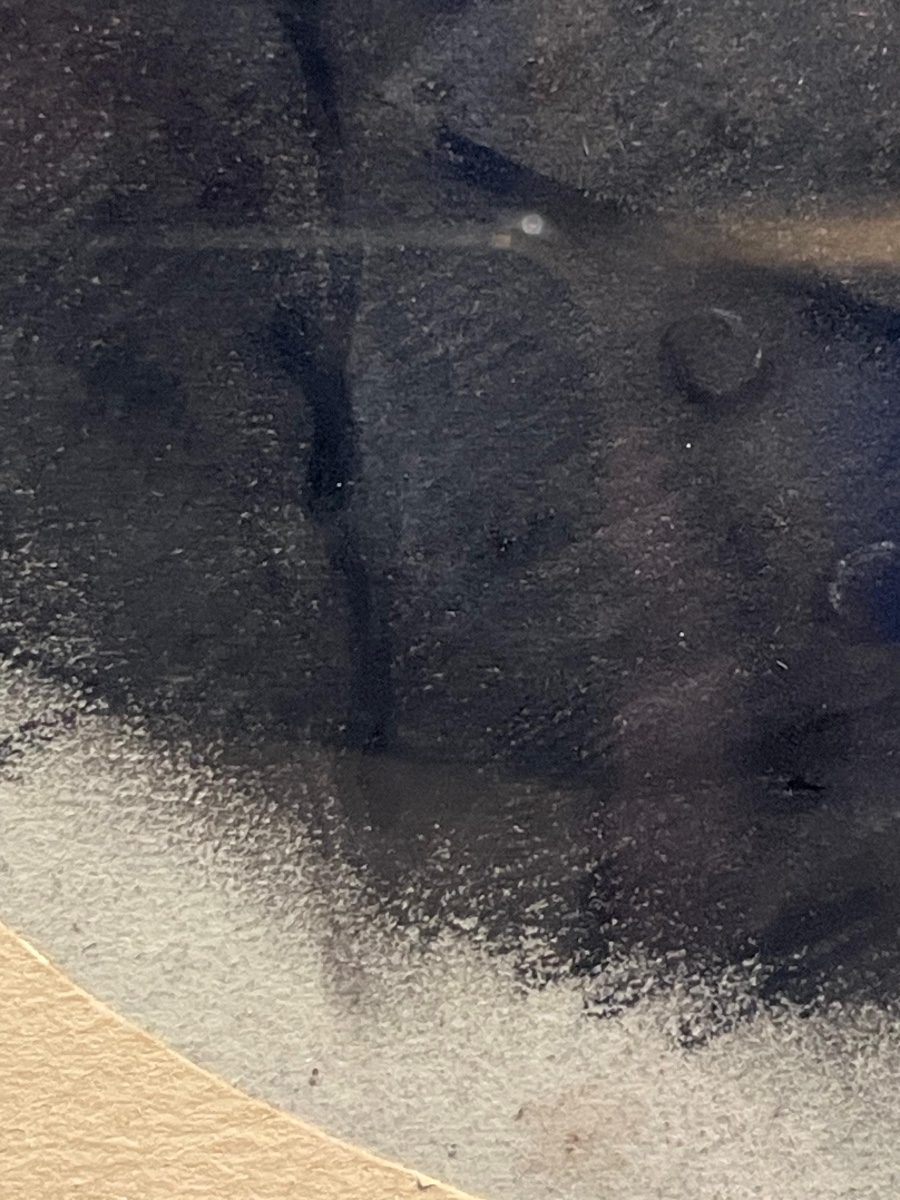 Portrait Of A Young Man, Pastel On Paper, Signed And Dated E. Bouchardy, 1819-photo-6