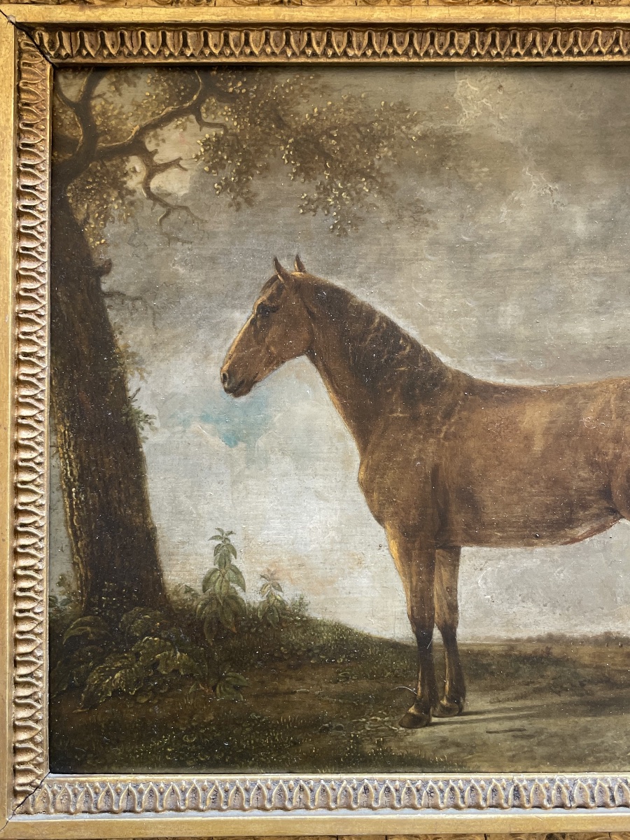 Portrait Of A Bay Horse With A Docked Tail In A Landscape  18th-century Dutch School  -photo-2