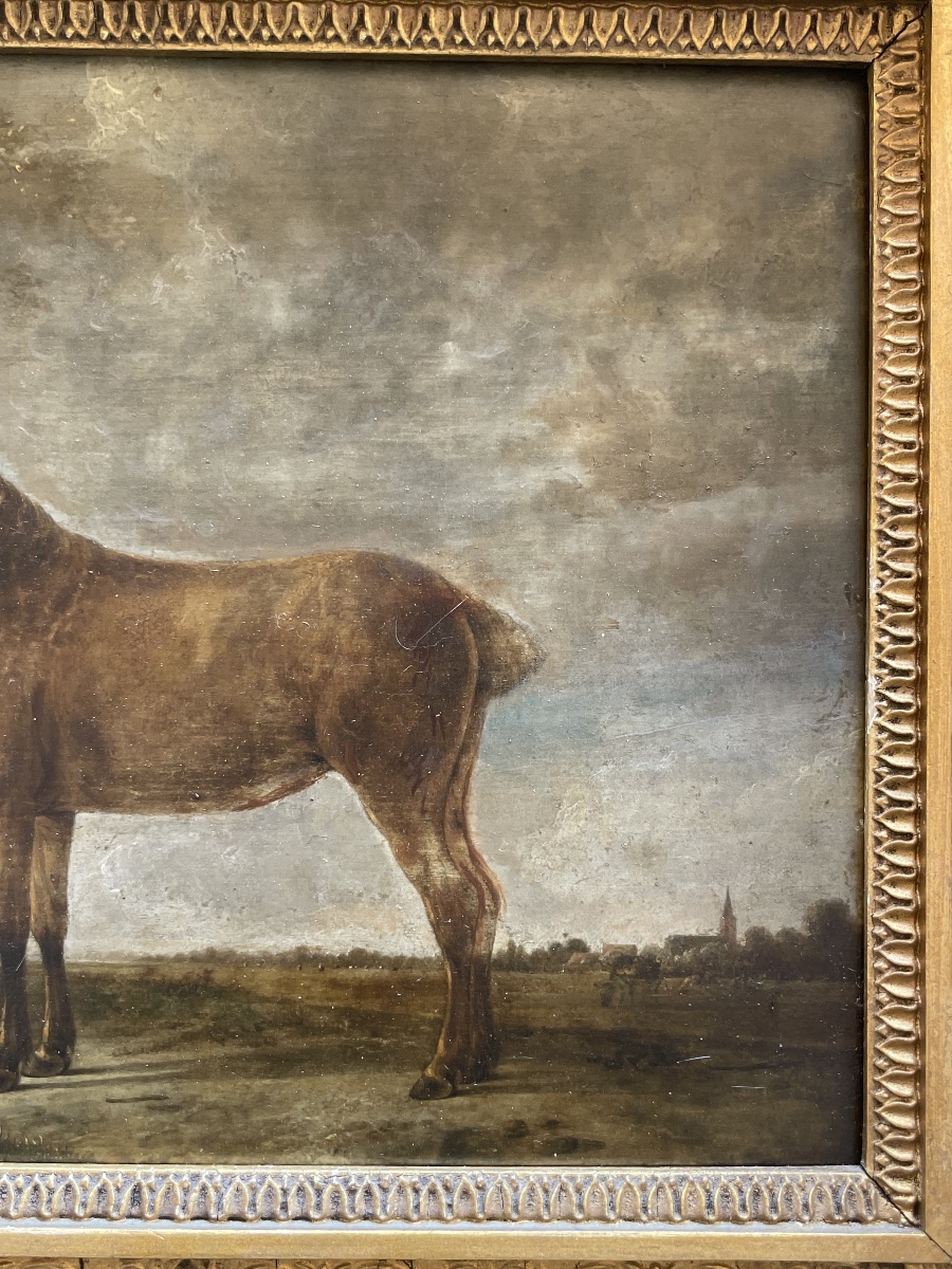 Portrait Of A Bay Horse With A Docked Tail In A Landscape  18th-century Dutch School  -photo-3