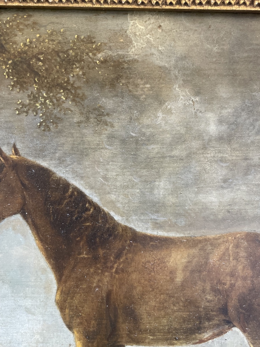 Portrait Of A Bay Horse With A Docked Tail In A Landscape  18th-century Dutch School  -photo-2
