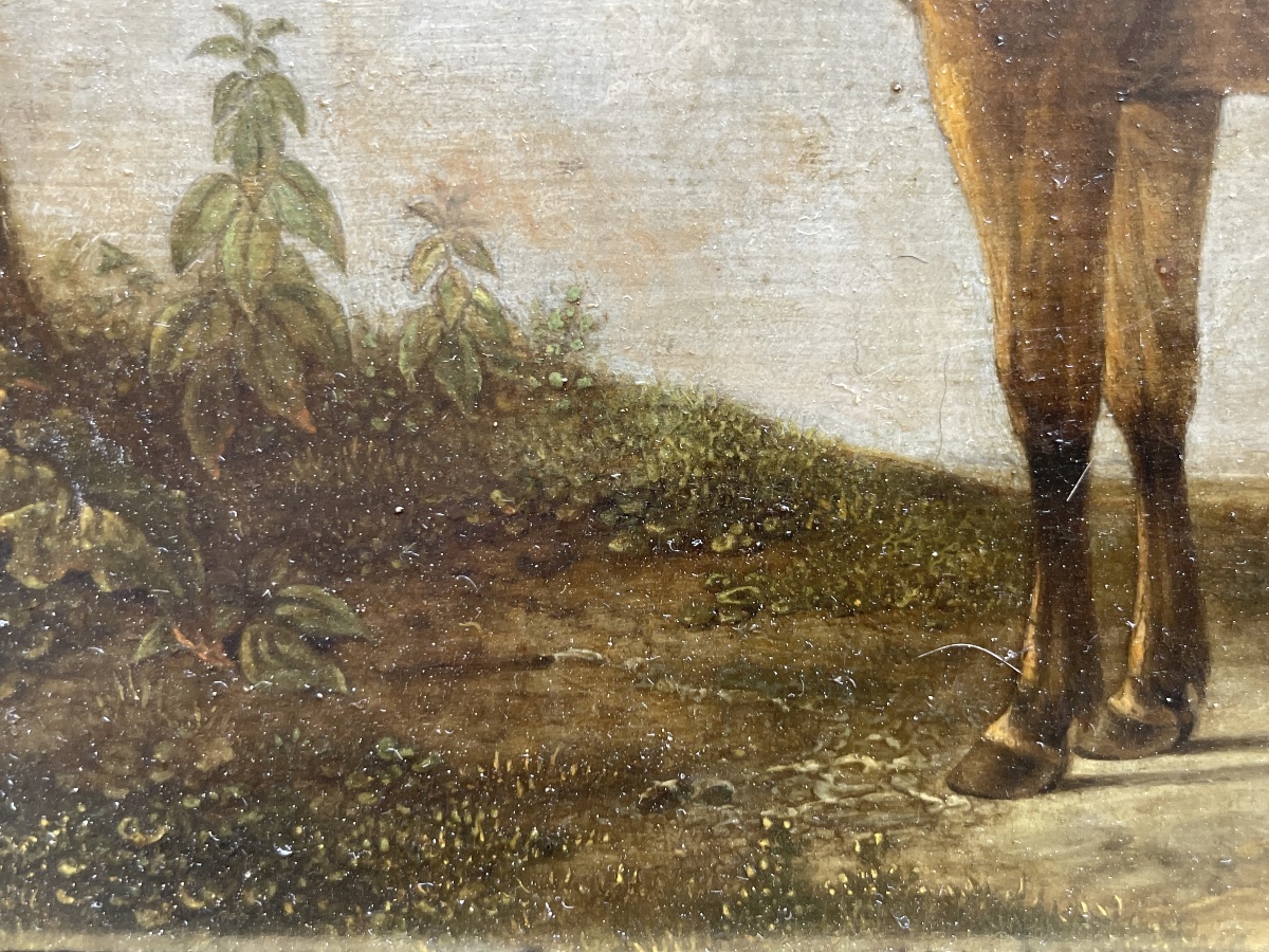 Portrait Of A Bay Horse With A Docked Tail In A Landscape  18th-century Dutch School  -photo-7