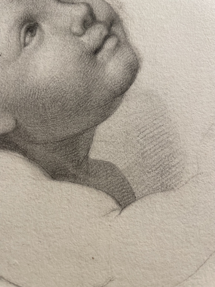 The Head Of A Little Angel, Academic Study, Florentine School, Late 18th – Early 19th Century  -photo-7