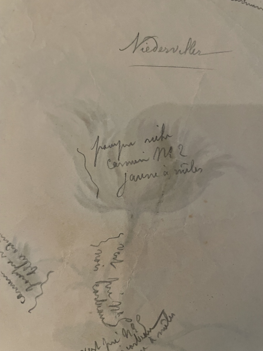 Seven Drawings Of Floral Designs For Ceramic Plates, After 18th-century Models-photo-5