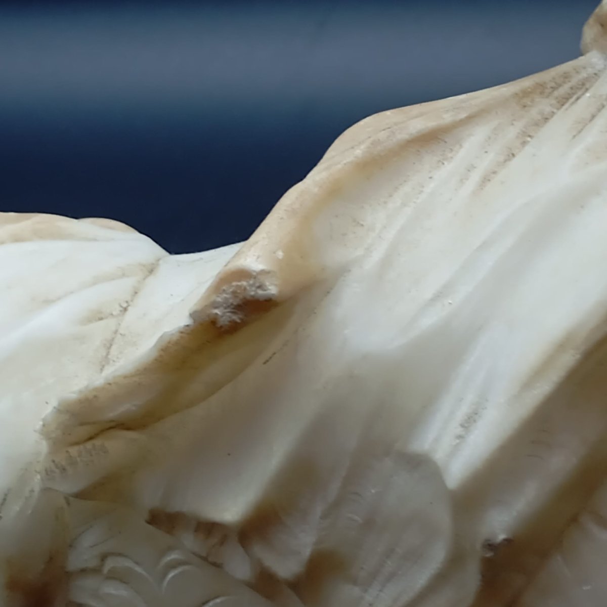 Half-bust Of A Young Woman From The Late 19th Century-photo-3