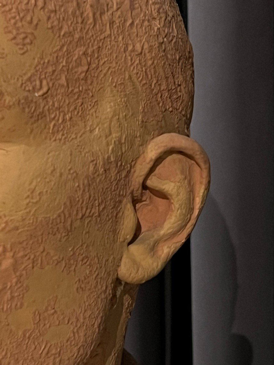 Painted Terracotta Bust, Early 20th Century.-photo-3