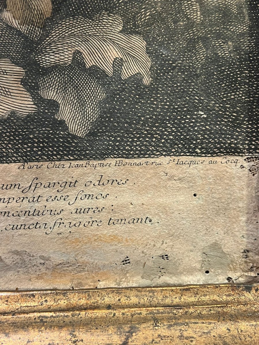 Groupe de gravures avec coloration-photo-2