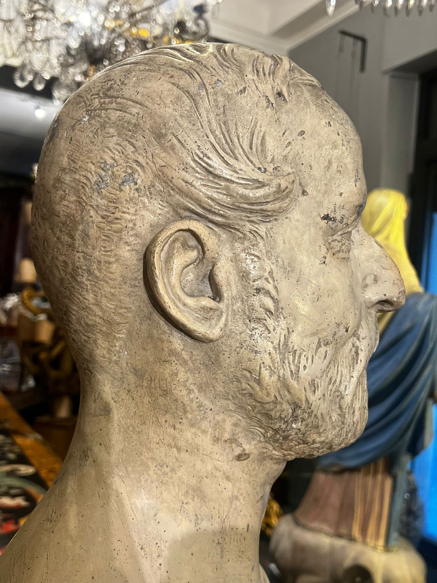 Male Bust In Plaster-photo-4