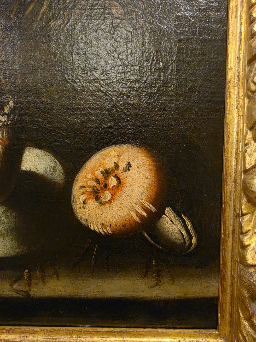 Painting Depicting A Still Life-photo-1