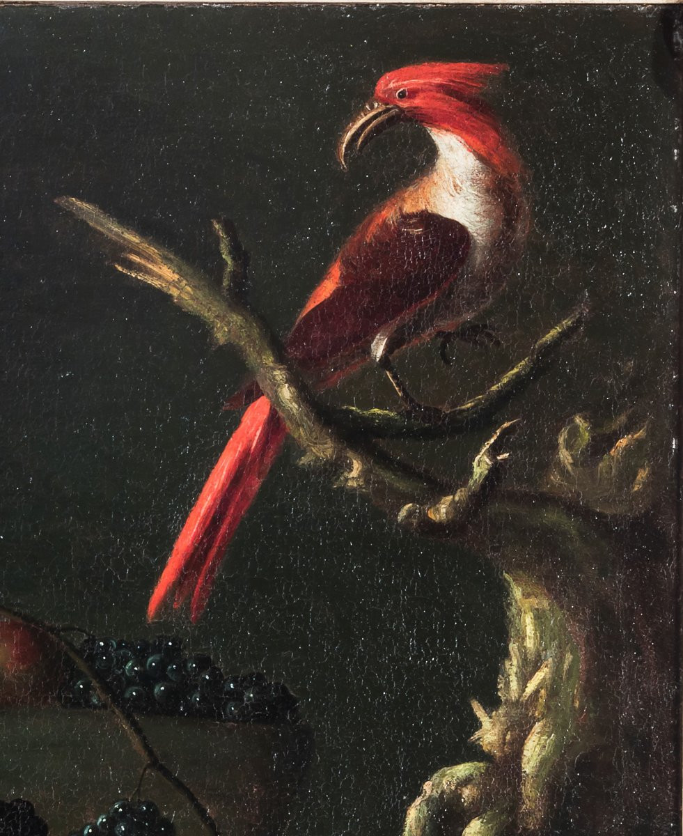Carlo Antonio Crespi, "still Life With Fruit, An Amphora And A Parrot"-photo-4