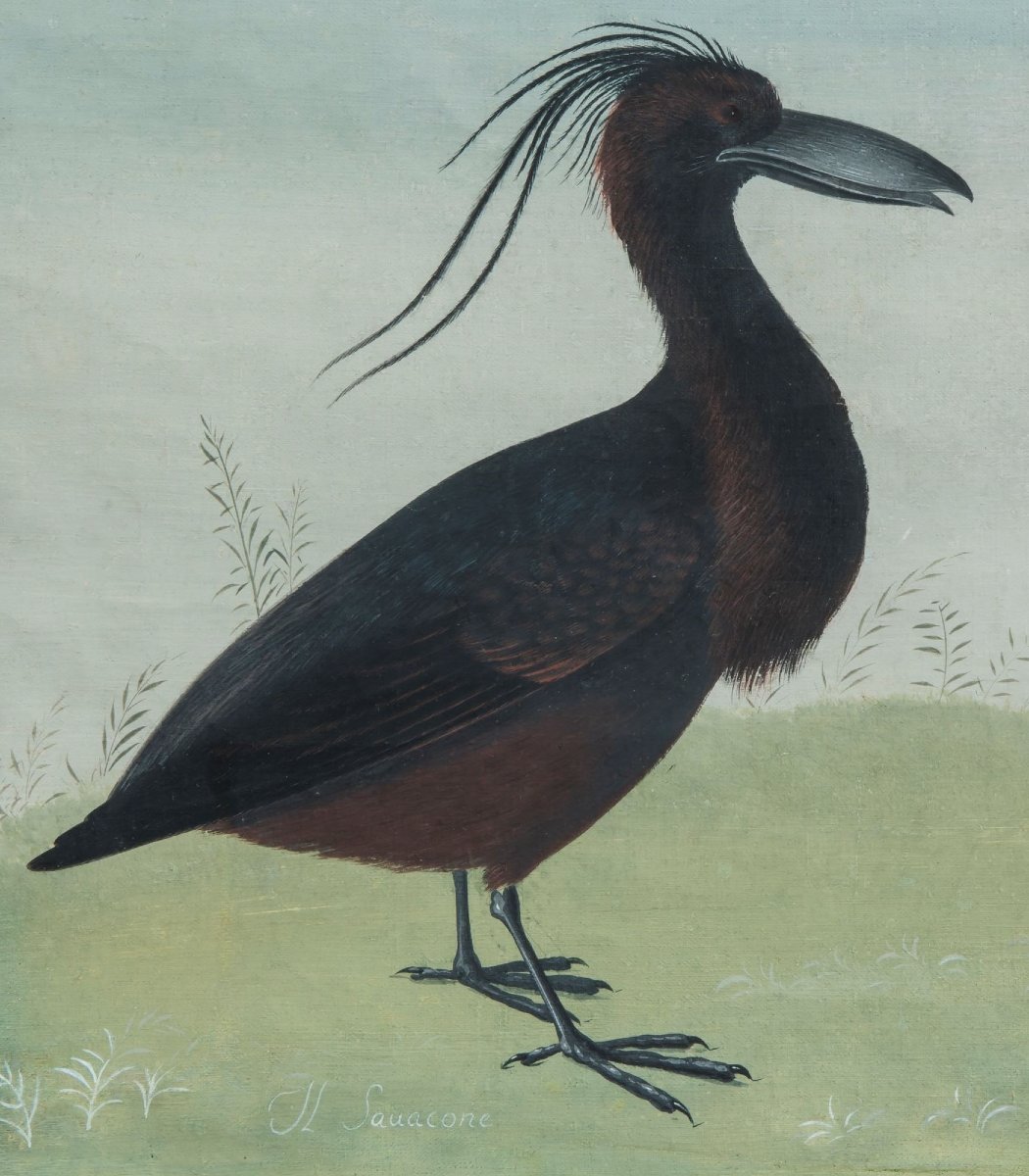 Lombard Painter Of The Late 18th/early 19th Century (raineri Style) "savacone"-photo-2