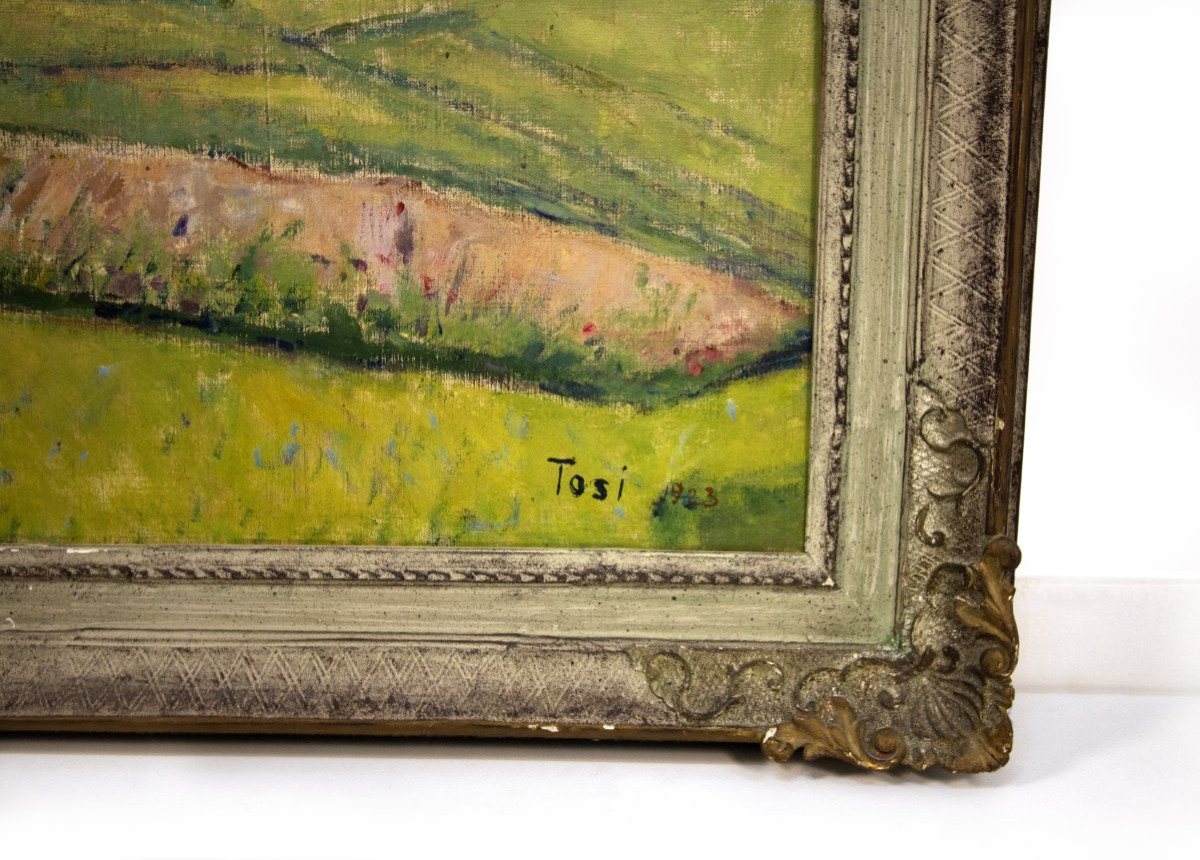 Arturo Tosi (busto Arsizio, 1871 - Milan, 1956) "barzesto", 1923-photo-3