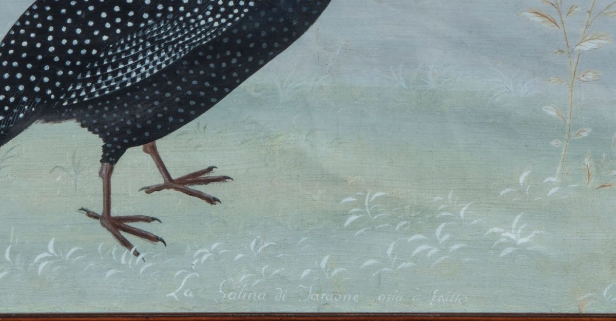 Peintre de la fin du XVIIIe/début du XIXe siècle (style Raineri) "Le poulet du Pharaon"-photo-2