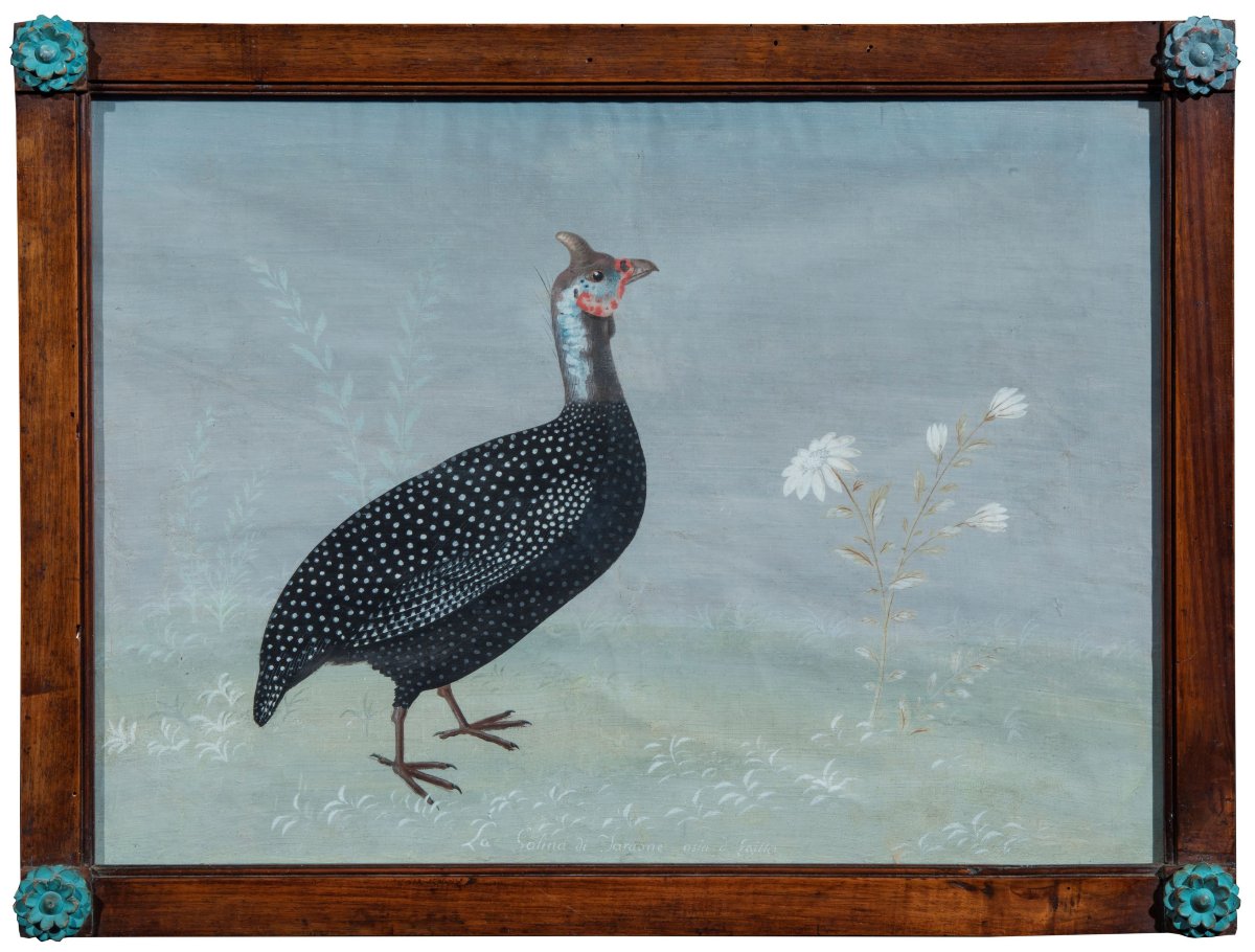 Peintre de la fin du XVIIIe/début du XIXe siècle (style Raineri) "Le poulet du Pharaon"
