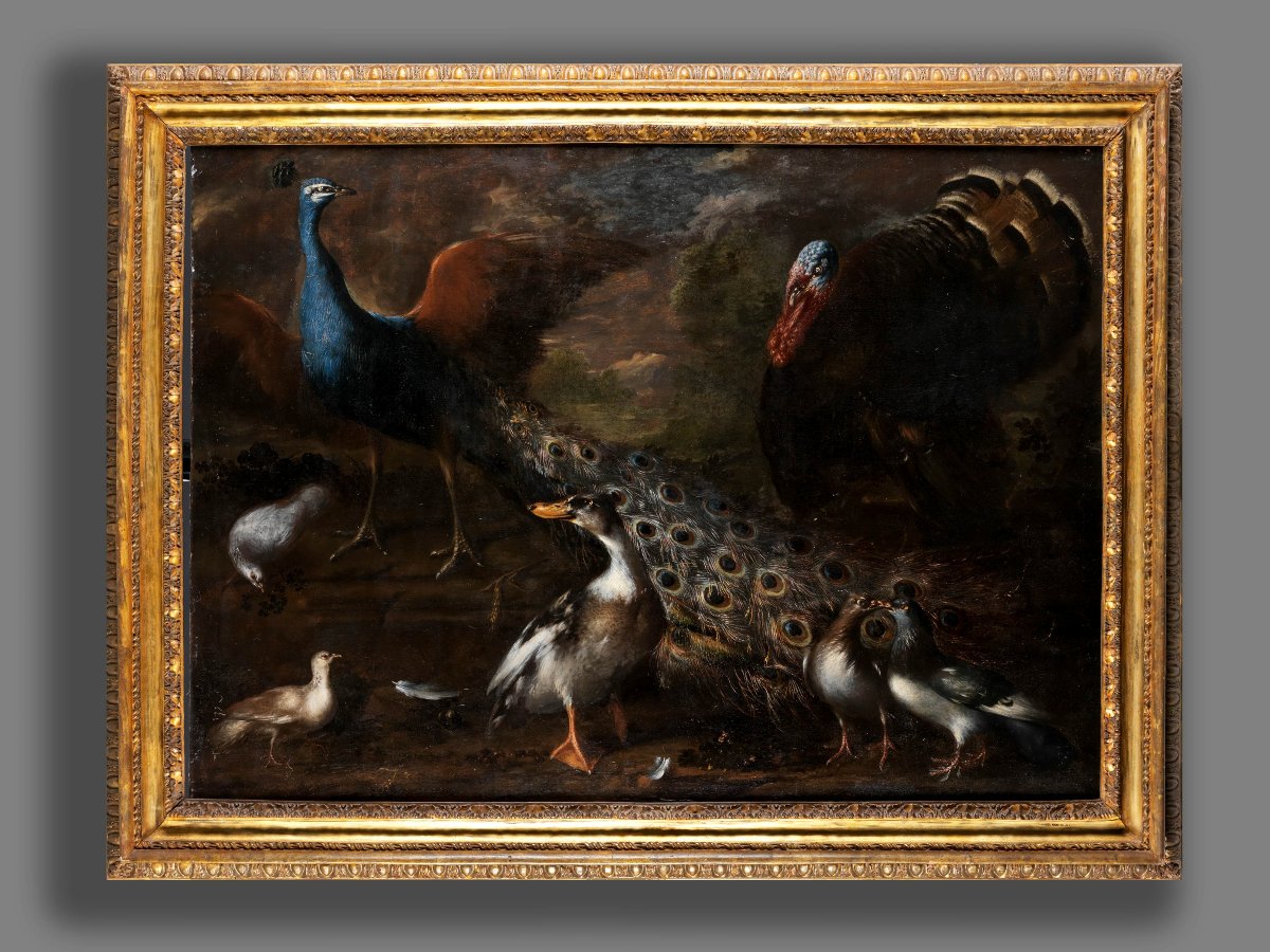 École flamande du XVIIe siècle, Nature vivante avec oiseaux