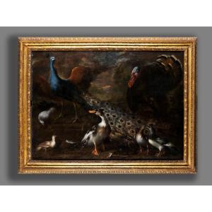 17th-century Flemish School, Still Life With Birds
