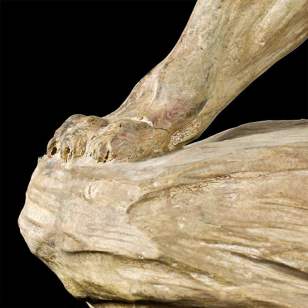 Sculpture Depicting A Lion – Armand Fagotto-photo-6
