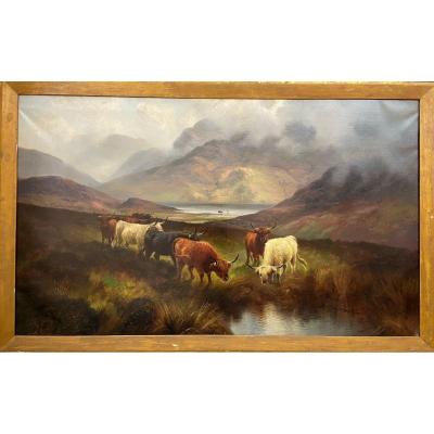 19th Century Highland Cattle 