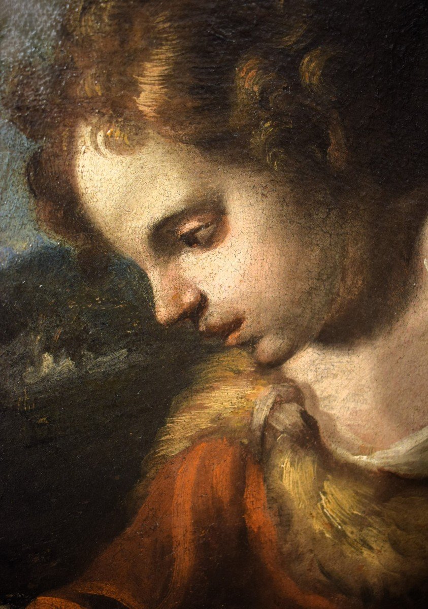 Saint John The Baptist As A Child - Emilian School Of The 17th Century-photo-4