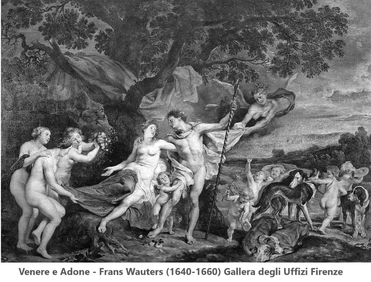 Venus And Adonis  - Atelier Of Frans Wouters (lierre 1612 - Antwerp 1659)-photo-8