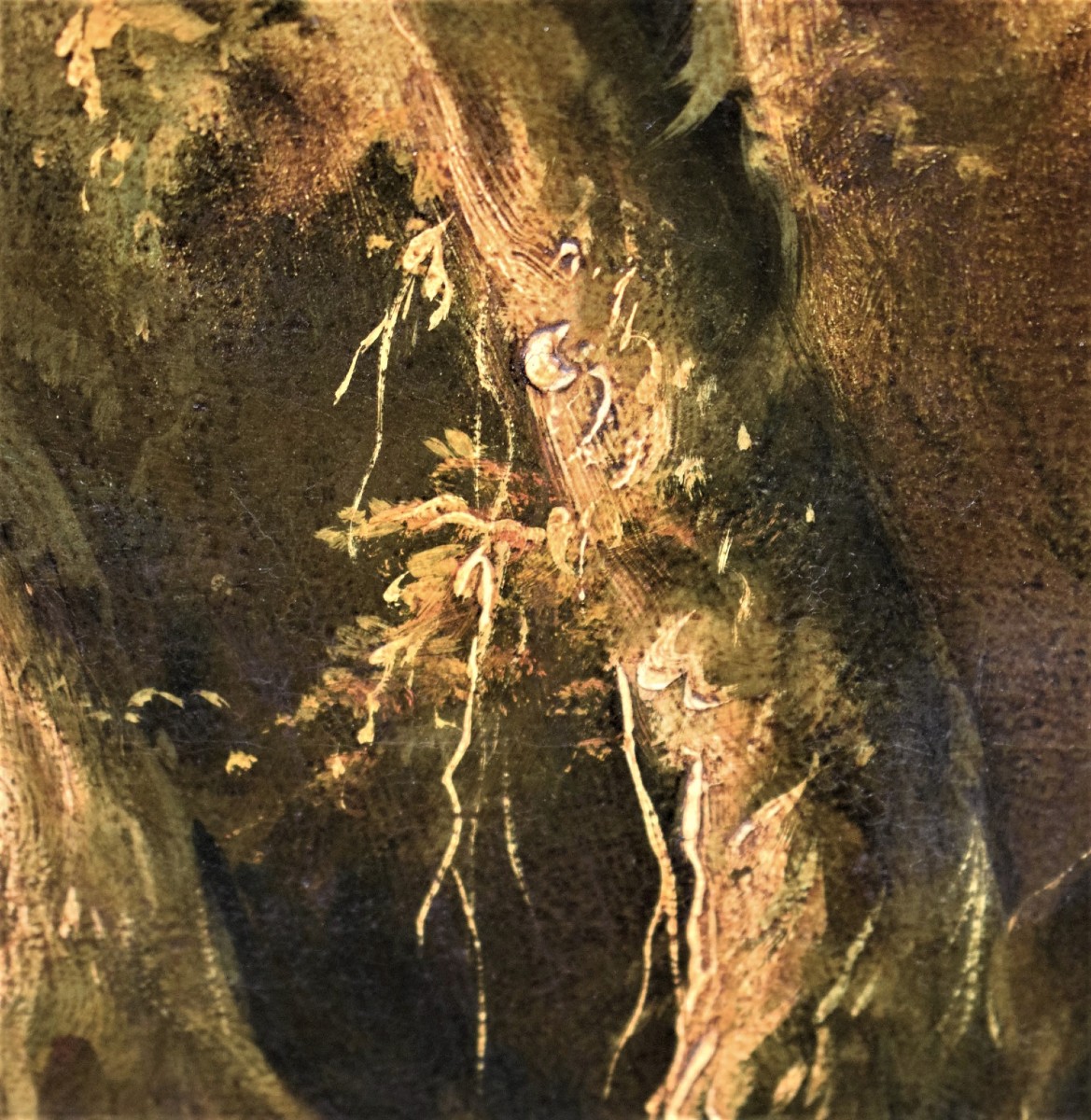 "Paysage Fantastique"-photo-6