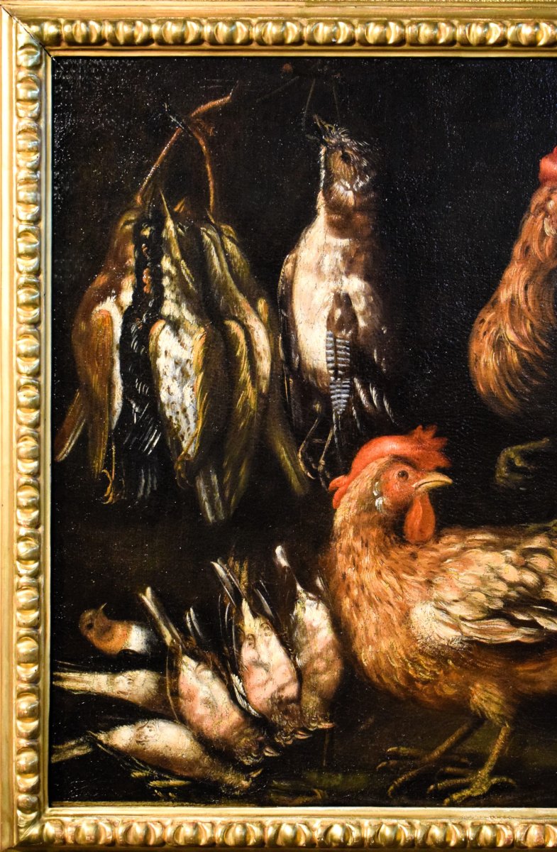 Still Life With Roosters And Game - Angelo Maria Crivelli (milan, 1660–1730)-photo-2