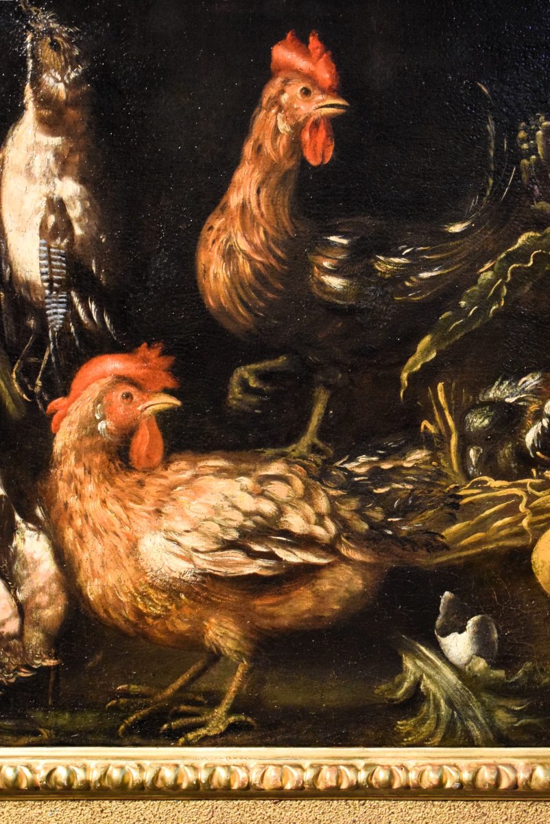Still Life With Roosters And Game - Angelo Maria Crivelli (milan, 1660–1730)-photo-3