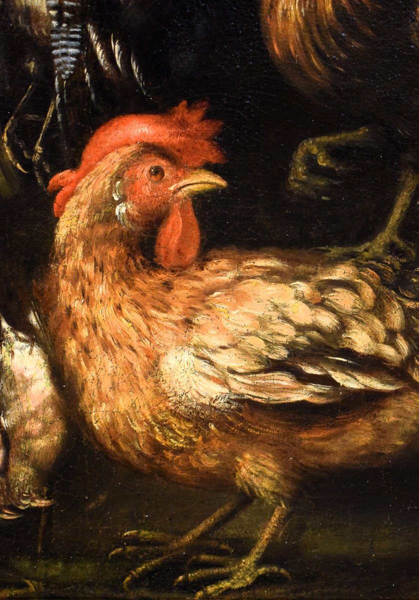 Still Life With Roosters And Game - Angelo Maria Crivelli (milan, 1660–1730)-photo-1