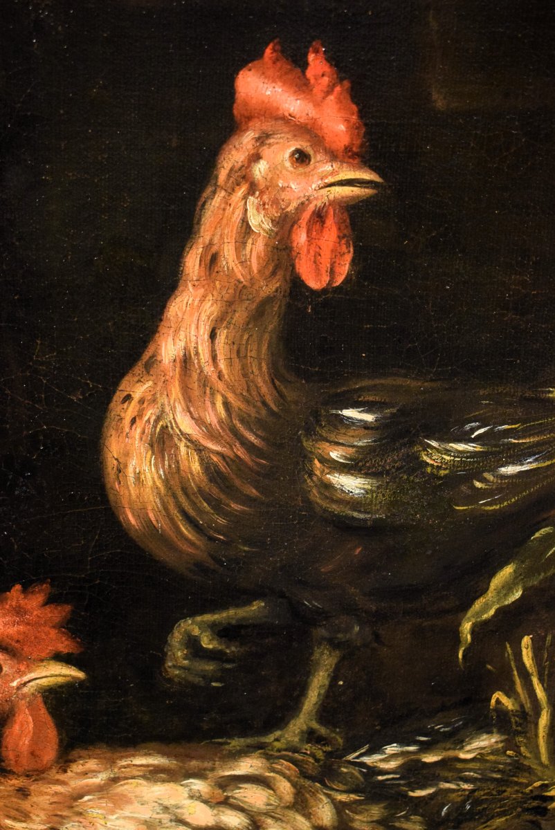 Still Life With Roosters And Game - Angelo Maria Crivelli (milan, 1660–1730)-photo-2
