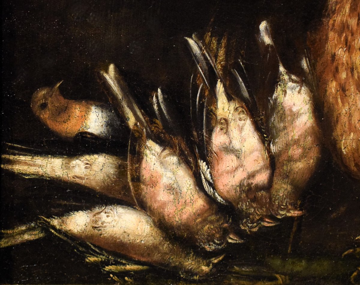 Still Life With Roosters And Game - Angelo Maria Crivelli (milan, 1660–1730)-photo-3