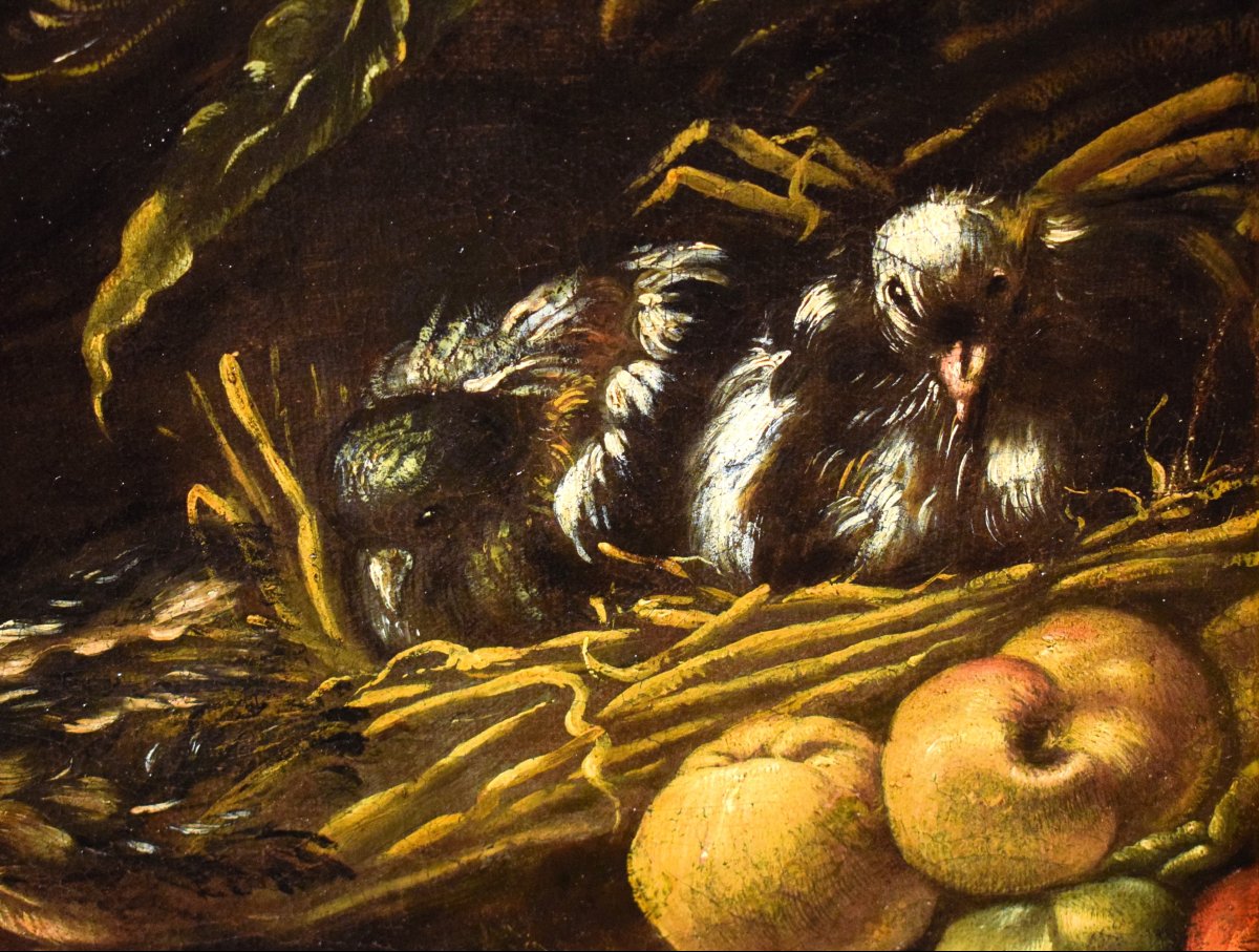 Still Life With Roosters And Game - Angelo Maria Crivelli (milan, 1660–1730)-photo-4