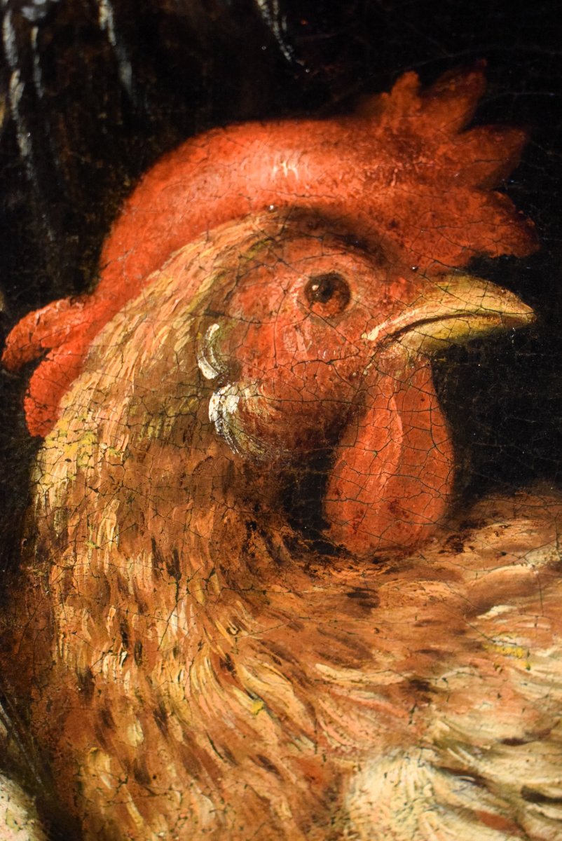 Still Life With Roosters And Game - Angelo Maria Crivelli (milan, 1660–1730)-photo-6