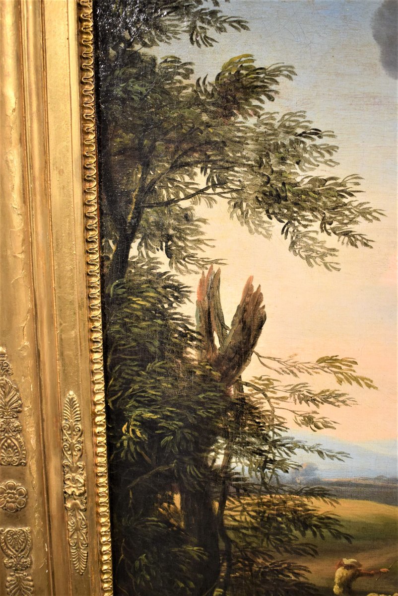 Paysage avec berger et troupeaux - Carlo Antonio Tavella (1668 -1738)-photo-1