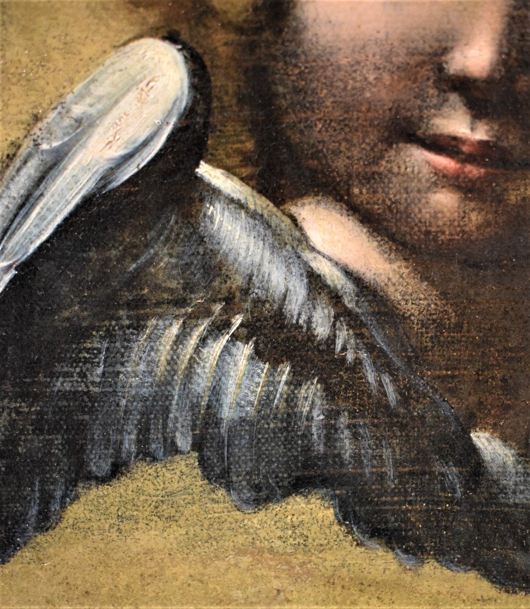 Cherub - Workshop Of Annibale Carracci (1560 - 1609)-photo-3