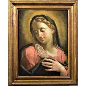 Vierge - Francesco De Mura (napoli 1696-1782) Workshop 