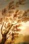 1749002-alb-69ecdee591c02.jpg